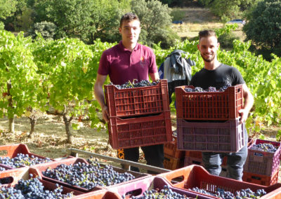 Journée vendanges