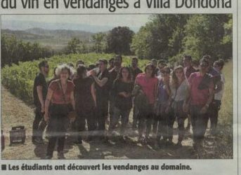 Article vendanges 2016