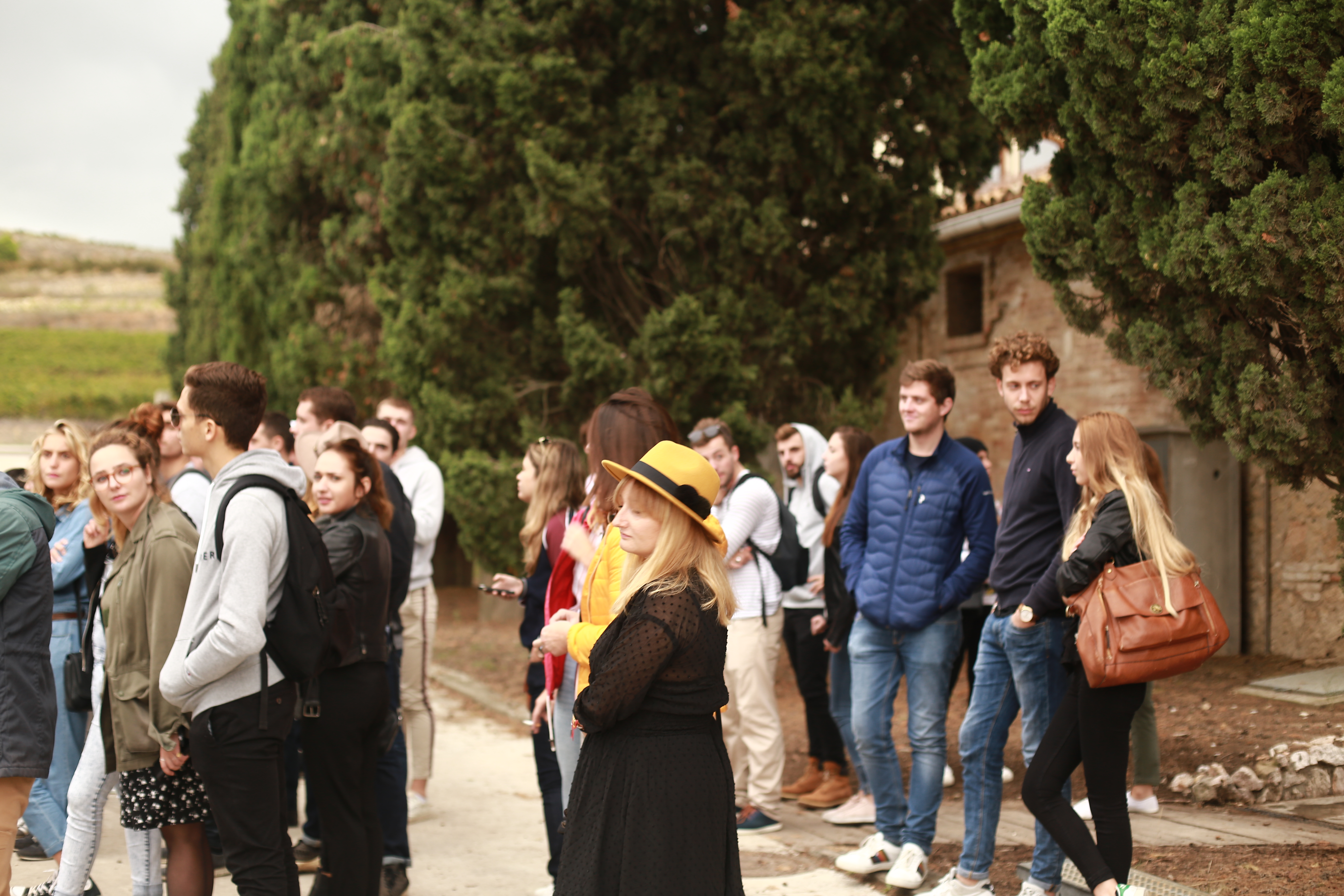 Bachelor Commerce et Marketing des vins - ISV Montpellier