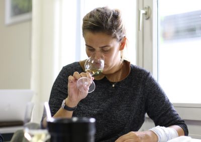 Dégustation vins du Monde