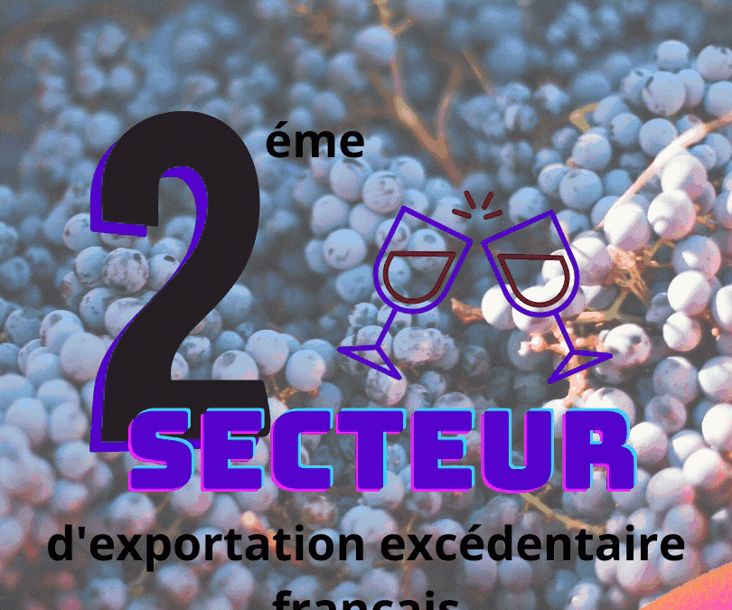 Comment devenir responsable commercial export ?