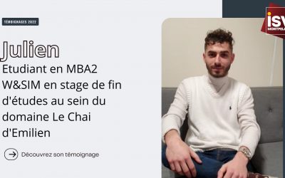 Julien – étudiant en MBA 2