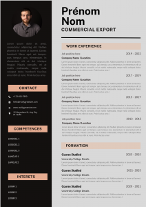 How do I write a CV for a work-linked training scheme?