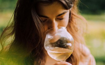 Bachelor : formez-vous aux métiers du vin