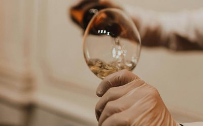 Les métiers après le Mastère Wine and Spirits
