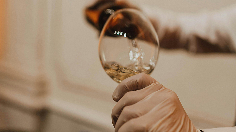 Les métiers après le Mastère Wine and Spirits
