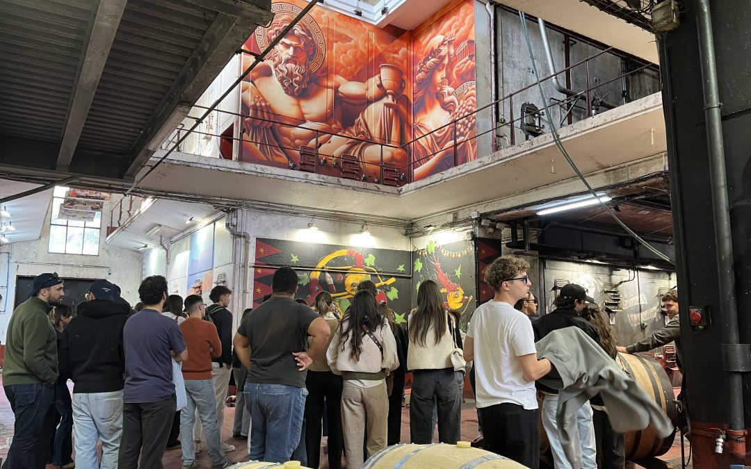 Les étudiants en sortie pédagogique à la cave de Saint-Chinian