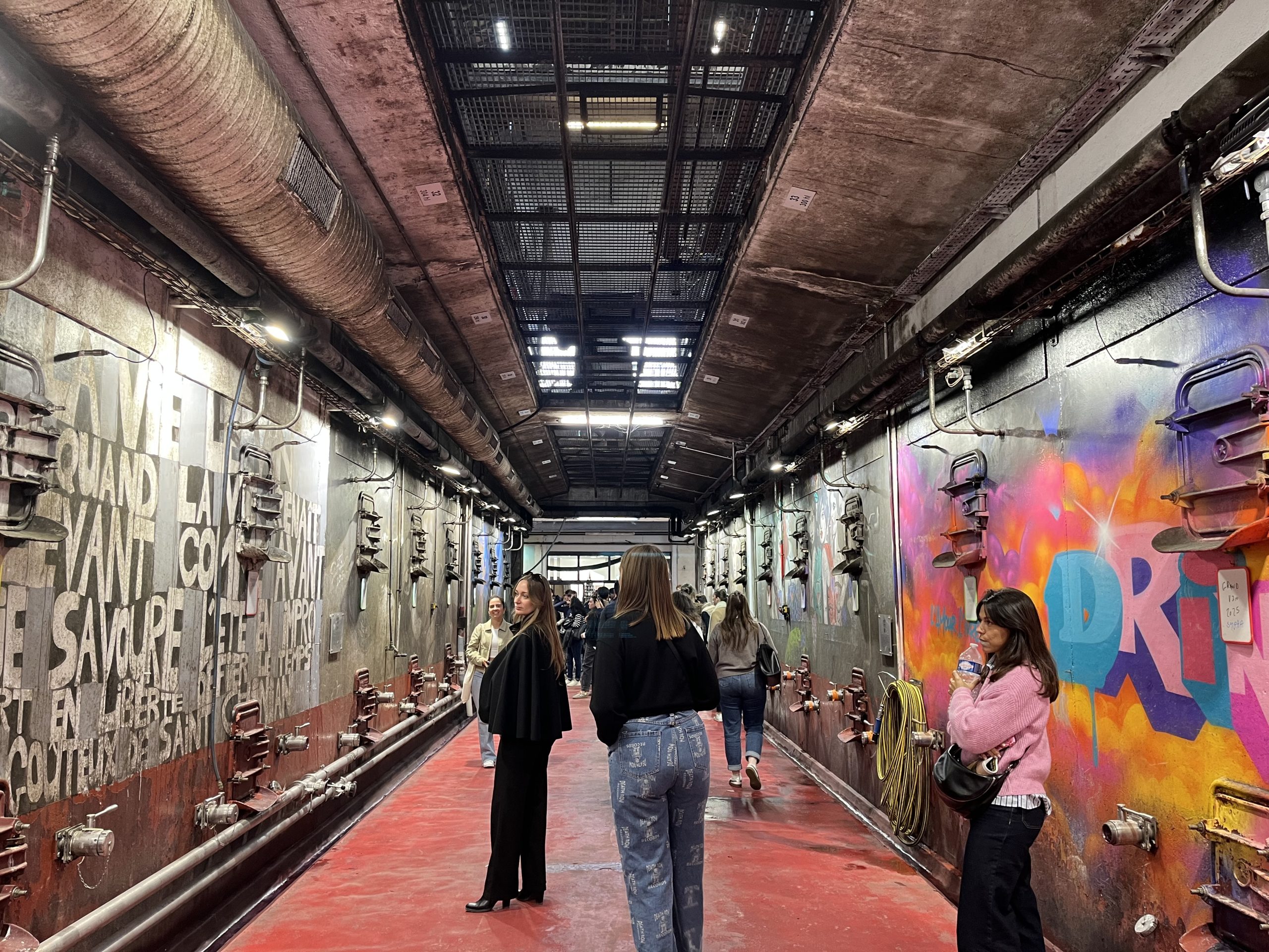 étudiants à la cave de saint-chinian